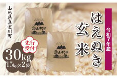 ＜令和7年産米先行受付＞ 真室川町産 はえぬき 【玄米】 30kg （15kg×2袋）＜配送時期指定可＞