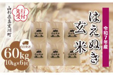 ＜令和7年産米先行受付＞ 真室川町産 はえぬき 【玄米】 60kg定期便 （10kg×6回発送）＜配送時期指定可＞