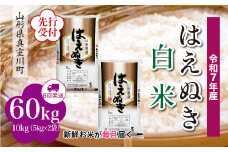 ＜令和7年産米先行受付＞ 真室川町産 はえぬき 【白米】 定期便 60kg （10kg×1ヶ月間隔で6回お届け）＜配送時期指定可＞