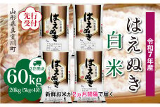 ＜令和7年産米先行受付＞ 真室川町産 はえぬき 【白米】 定期便 60kg （20kg×２ヶ月間隔で3回お届け）＜配送時期指定可＞