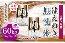＜令和7年産米先行受付＞ 真室川町産 はえぬき 【無洗米】 定期便 60kg （10kg×1ヶ月間隔で6回お届け）＜配送時期指定可＞