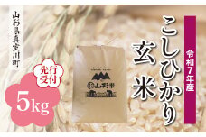 ＜令和7年産米先行受付＞ 真室川町産 こしひかり 【玄米】 5kg （5kg×1袋）＜配送時期指定可＞