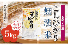 ＜令和7年産米先行受付＞ 真室川町産 こしひかり 【無洗米】5kg （5kg×1袋）＜配送時期指定可＞