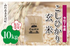 ＜令和7年産米先行受付＞ 真室川町産 こしひかり 【玄米】 10kg （10kg×1袋）＜配送時期指定可＞