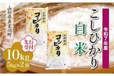 ＜令和7年産米先行受付＞ 真室川町産 こしひかり 【白米】 10kg （5kg×2袋）＜配送時期指定可＞