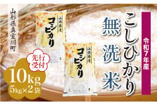 ＜令和7年産米先行受付＞ 真室川町産 こしひかり 【無洗米】10kg （5kg×2袋）＜配送時期指定可＞