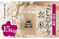 ＜令和7年産米先行受付＞ 真室川町産 こしひかり 【玄米】 15kg （15kg×1袋）＜配送時期指定可＞