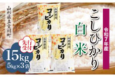 ＜令和7年産米先行受付＞ 真室川町産 こしひかり 【白米】 15kg （5kg×3袋）＜配送時期指定可＞