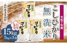 ＜令和7年産米先行受付＞ 真室川町産 こしひかり 【無洗米】15kg （5kg×3袋）＜配送時期指定可＞