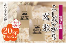 ＜令和7年産米先行受付＞ 真室川町産 こしひかり 【玄米】 20kg （10kg×2袋）＜配送時期指定可＞