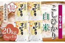 ＜令和7年産米先行受付＞ 真室川町産 こしひかり 【白米】 20kg （5kg×4袋）＜配送時期指定可＞