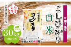 ＜令和7年産米先行受付＞ 真室川町産 こしひかり 【白米】 定期便 30kg （5kg×1ヶ月間隔で6回お届け）＜配送時期指定可＞