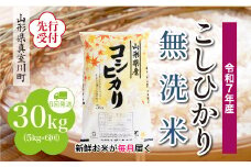 ＜令和7年産米先行受付＞ 真室川町産 こしひかり 【無洗米】 定期便 30kg （5kg×1ヶ月間隔で6回お届け）＜配送時期指定可＞