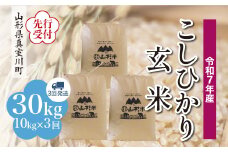 ＜令和7年産米先行受付＞ 真室川町産 こしひかり 【玄米】 30kg定期便 （10kg×3回発送）＜配送時期指定可＞