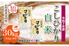 ＜令和7年産米先行受付＞ 真室川町産 こしひかり 【白米】 定期便 30kg （10kg×1ヶ月間隔で3回お届け）＜配送時期指定可＞