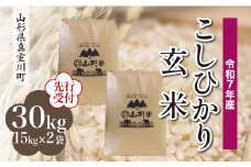 ＜令和7年産米先行受付＞ 真室川町産 こしひかり 【玄米】 30kg （15kg×2袋）＜配送時期指定可＞