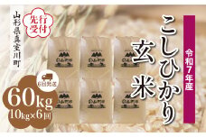 ＜令和7年産米先行受付＞ 真室川町産 こしひかり 【玄米】 60kg定期便 （10kg×6回発送）＜配送時期指定可＞