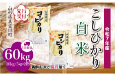 ＜令和7年産米先行受付＞ 真室川町産 こしひかり 【白米】 定期便 60kg （10kg×1ヶ月間隔で6回お届け）＜配送時期指定可＞