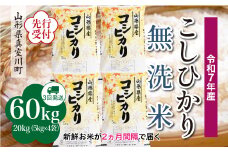 ＜令和7年産米先行受付＞ 真室川町産 こしひかり 【無洗米】 定期便 60kg （20kg×2ヶ月間隔で3回お届け）＜配送時期指定可＞