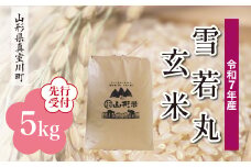 ＜令和7年産米先行受付＞ 真室川町産 雪若丸 【玄米】 5kg （5kg×1袋）＜配送時期指定可＞