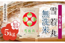 ＜令和7年産米先行受付＞ 真室川町産 雪若丸 【無洗米】5kg （5kg×1袋）＜配送時期指定可＞