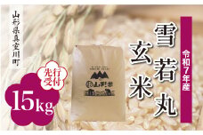 ＜令和7年産米先行受付＞ 真室川町産 雪若丸 【玄米】 15kg （15kg×1袋）＜配送時期指定可＞