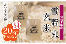 ＜令和7年産米先行受付＞ 真室川町産 雪若丸 【玄米】 20kg （10kg×2袋）＜配送時期指定可＞