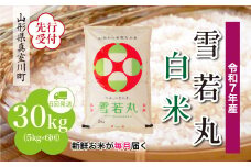 ＜令和7年産米先行受付＞ 真室川町産 雪若丸 【白米】 定期便 30kg （5kg×1ヶ月間隔で6回お届け）＜配送時期指定可＞