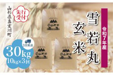＜令和7年産米先行受付＞ 真室川町産 雪若丸 【玄米】 30kg定期便 （10kg×3回発送）＜配送時期指定可＞