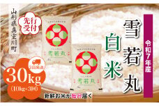 ＜令和7年産米先行受付＞ 真室川町産 雪若丸 【白米】 定期便 30kg （10kg×1ヶ月間隔で3回お届け）＜配送時期指定可＞