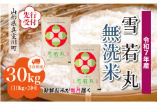 ＜令和7年産米先行受付＞ 真室川町産 雪若丸 【無洗米】 定期便 30kg （10kg×1ヶ月間隔で3回お届け）＜配送時期指定可＞