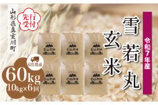 ＜令和7年産米先行受付＞ 真室川町産 雪若丸 【玄米】 60kg定期便 （10kg×6回発送）＜配送時期指定可＞