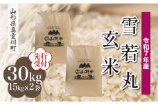 ＜令和7年産米先行受付＞ 真室川町産 雪若丸 【玄米】 30kg （15kg×2袋）＜配送時期指定可＞