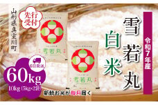 ＜令和7年産米先行受付＞ 真室川町産 雪若丸 【白米】 定期便 60kg （10kg×1ヶ月間隔で6回お届け）＜配送時期指定可＞