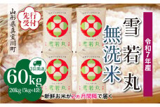 ＜令和7年産米先行受付＞ 真室川町産 雪若丸 【無洗米】 定期便 60kg （20kg×2ヶ月間隔で3回お届け）＜配送時期指定可＞