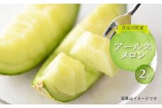 真室川町産　アールスメロン　２玉　約3kg