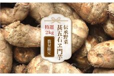 数量限定！伝承野菜『甚五右ヱ門芋（特選）』２ｋｇ