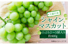 大蔵村産　シャインマスカット　小ぶり2～3房入り　約800g