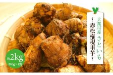 大蔵村産さといも　～赤松権現里芋～　約2kg