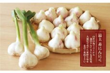 大蔵村産　最上赤にんにく１kg 