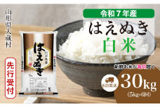 ＜令和7年産米先行受付＞ 大蔵村産 はえぬき 【白米】 定期便 30kg （5kg×1ヶ月間隔で6回お届け）＜配送時期選べます＞