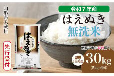 ＜令和7年産米先行受付＞ 大蔵村産 はえぬき 【無洗米】 定期便 30kg （5kg×1ヶ月間隔で6回お届け）＜配送時期選べます＞