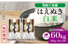 ＜令和7年産米先行受付＞ 大蔵村産 はえぬき 【白米】 定期便 60kg （10kg×1ヶ月間隔で6回お届け）＜配送時期選べます＞