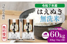 ＜令和7年産米先行受付＞ 大蔵村産 はえぬき 【無洗米】 定期便 60kg （10kg×1ヶ月間隔で6回お届け）＜配送時期選べます＞