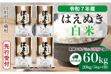 ＜令和7年産米先行受付＞ 大蔵村産 はえぬき 【白米】 定期便 60kg （20kg×２ヶ月間隔で3回お届け）＜配送時期選べます＞