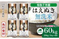 ＜令和7年産米先行受付＞ 大蔵村産 はえぬき 【無洗米】 定期便 60kg （20kg×2ヶ月間隔で3回お届け）＜配送時期選べます＞