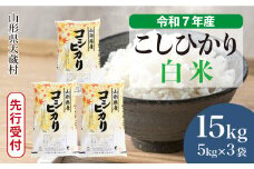 ＜令和7年産米先行受付＞ 大蔵村産 こしひかり 【白米】 15kg （5kg×3袋）＜配送時期選べます＞