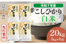 ＜令和7年産米先行受付＞ 大蔵村産 こしひかり 【白米】 20kg （5kg×4袋）＜配送時期選べます＞