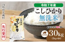 ＜令和7年産米先行受付＞ 大蔵村産 こしひかり 【無洗米】 定期便 30kg （5kg×1ヶ月間隔で6回お届け）＜配送時期選べます＞