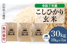 ＜令和7年産米先行受付＞ 大蔵村産 こしひかり 【玄米】 30kg定期便 （10kg×3回発送）＜配送時期選べます＞